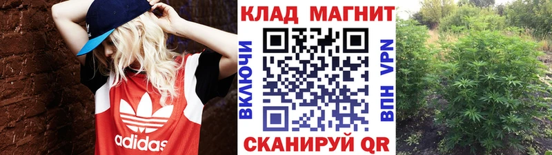 Купить Кокаин МЕФ Галлюциногенные грибы Каннабис Гашиш СОЛЬ Дагестанские Огни
