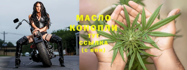 дмт Карпинск