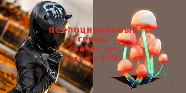 дурь Касимов