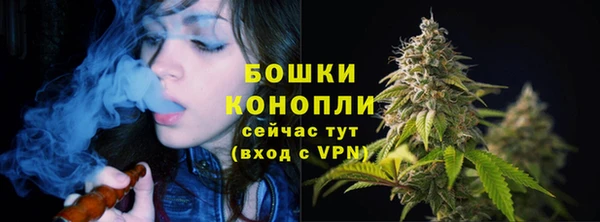 дурь Касимов