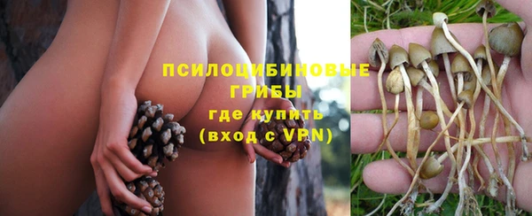 дмт Карпинск