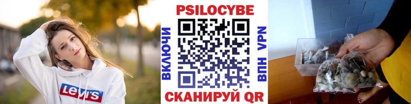 Купить Дагестанские Огни Галлюциногенные грибы Magic Shrooms